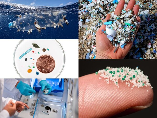 ▲ 미세플라스틱(사진제공=그린피스)